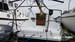 Neptun Yachten Neptun 22 Segelboot inkl Zugel BILD 8